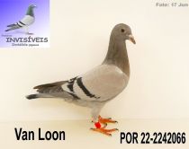 POR 22-2242066